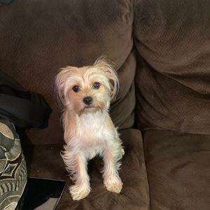 Meet your Posher, Quinton